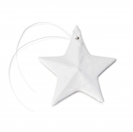 Star Pottery Ornament 